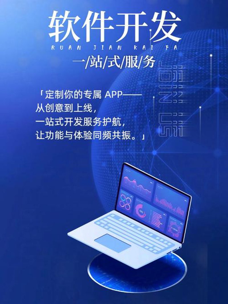 软件开发秘籍：掌握安徽市场的关键